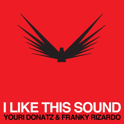 Sleeve of I Like This Sound